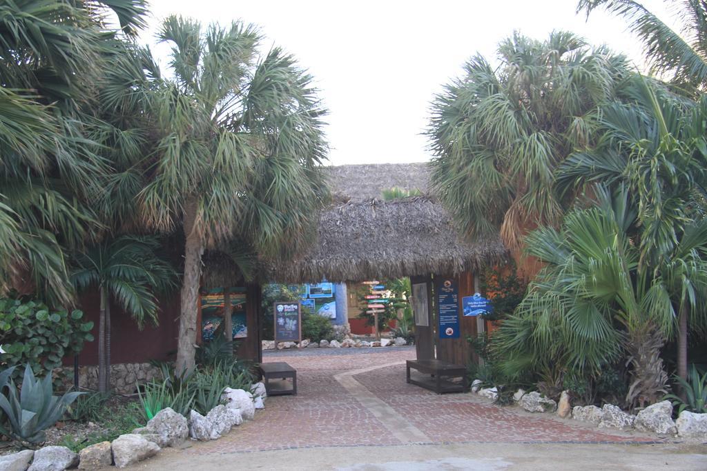 Blue Bay Golf En Beach, Dushi Na Kas, Villa 36 Exterior foto